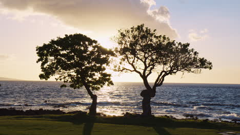 Malerischer-Sonnenaufgang-Zwischen-Zwei-Bäumen-Im-Beach-Resort-Wailea-In-Maui-County,-Hawaii,-Vereinigte-Staaten