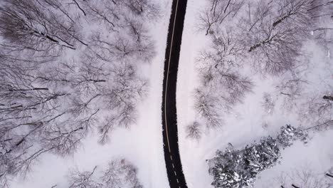 in-snowy-weather-drone-follows-man-walking-on-road-from-above