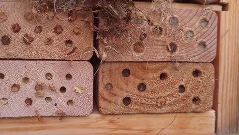 Insect-hotel-or-pollinator-house---for-bees-and-other-pollinators,-close-up
