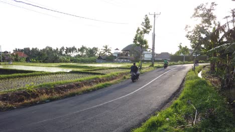 Road-Through-Bali-Ricefields,-Local-Street,-Scooter-Motorbikes-Cars-Passing-By-Rice-Fields,-Paddy,-in-Sukawati,-Gianyar,-Indonesia-during-Daytime-and-Clear-Sky