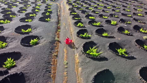 Rot-Gekleidete-Frau-Auf-Einer-Straße-In-Einer-Weinplantage-Auf-Lanzarote-Mit-Vielen-Kreisförmigen-Vulkanischen-Steinschutzmaßnahmen-Auf-Dem-Boden