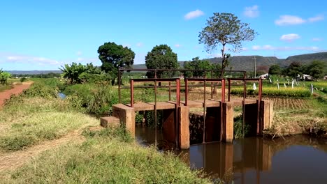 Establisher-wide-shot-of-irrigation-ditch-dam-used-for-rice-fields,-Tanzania
