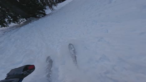 Pov-shot-of-skier-skiing-in-deep-snow-between-forest-trees-in-mountains