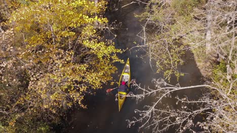 male-canoe-rides-along-creek-in-autumn,-aerial-drone-follows