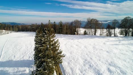 Landschaft-Mit-Schnee