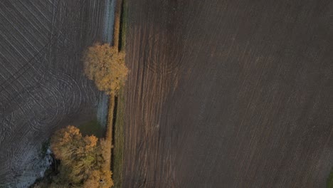 Birds-Eye-View-Overhead-Hecke-Ackerfeld-Kopie-Raum-Warwickshire-Uk-Landwirtschaftliche-Luft-Frost-Herbst-Winter