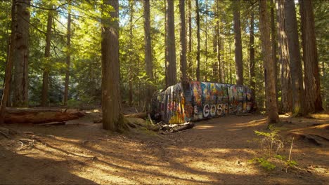 Train-wreck-abandoned-in-forest-and-covered-with-graffiti-and-painting