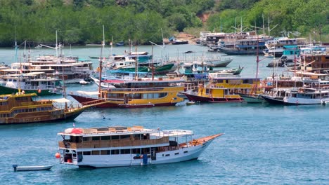 Masses-of-liveaboard-boats-docked-in-fishing-village-of-Labuan-Bajo,-Flores-island,-Nusa-Tenggara-region-of-east-Indonesia