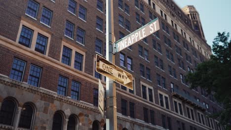 New-York-Signs.-Pineapple-street