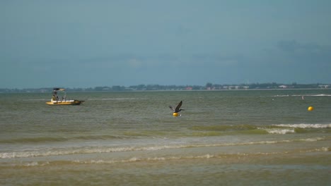Seabird-Gliding-over-Ocean-Waves-with-Boats-and-Jet-Skis-in-the-Background,-Slow-Motion