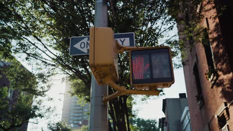 New-York-Signs.-Pedestrian-stop-light