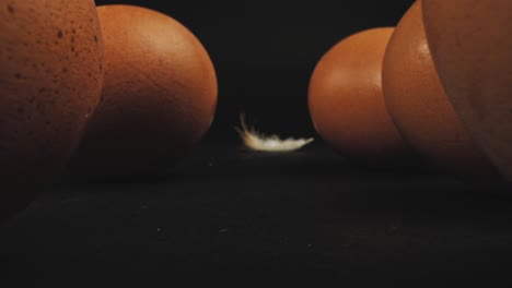Mehrere-Frische-Braune-Eier-Und-Federn-Aus-Freilandhaltung