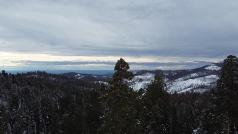 Sequoia-National-Forest-Aerial-Drone-Descending-On-A-Snow-Covered-Forest