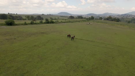 Drohnenfliegen-Von-Zwei-Pferden,-Die-Im-Monument-Valley-In-Mexiko-Grasen