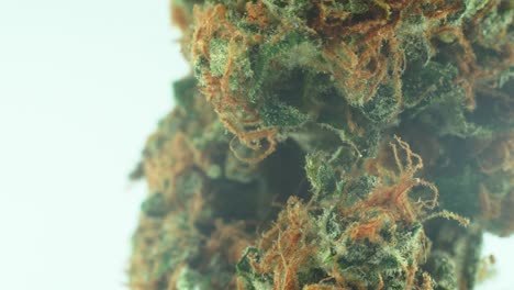 Macro-Close-up-shot-of-a-Marijuana-sativa-Super-Lemon-Amnesia-Haze-rock-flower,-orange-strains,-green-and-purple-Kush,-on-a-360-rotating-stand,-Slow-motion-4K-video