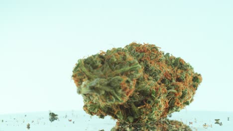 Close-up-shot-of-a-Marijuana-sativa-Super-Lemon-Haze-flowers,-orange-strains,-green-weed,-on-a-reflecting-360-rotating-stand,-Slow-motion-4K-video