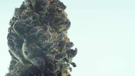 Macro-Close-up-shot-of-a-Marijuana-sativa-Sour-Diesel-flowers-with-trichomes,-green-and-purple-kush-on-a-rotating-stand,-Slow-motion-4K-video