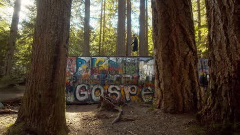 Man-walking-on-top-of-train-wreck-abandoned-in-the-forest-covered-up-by-graffiti-art