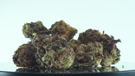Close-up-shot-of-a-Marijuana-sativa-Sour-Diesel-flowers,-green-and-purple,-on-a-reflecting-rotating-stand,-Slow-motion-4K-video