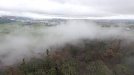 Static-shot-of-fog-enclosing-the-forest-below-the-Wallace-Monument-in-Stirling
