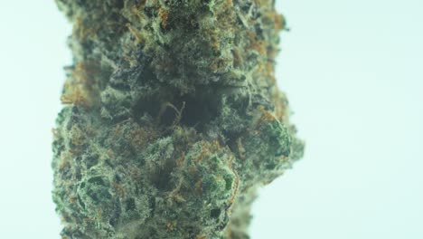 Macro-Close-up-shot-of-a-Marijuana-sativa-Super-Lemon-Amnesia-Haze-flower,-yellow,-green-and-purple-Kush,-on-a-360-rotating-stand,-Slow-motion-4K-video