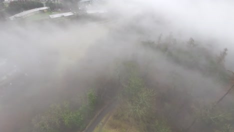 Static-shot-of-heavy-fog-covering-the-forest-below-the-Wallace-Monument-in-Stirling