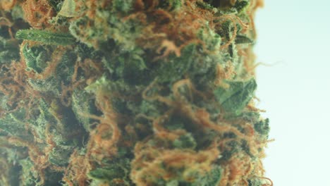 Makro-Nahaufnahme-Einer-Marihuana-Sativa-Super-Zitronen-Amnesie-Haze-Felsenblume,-Orangenstämme,-Grünes-Und-Violettes-Kush,-Auf-Einem-Um-360°-Drehbaren-Ständer,-4k-Video-In-Zeitlupe