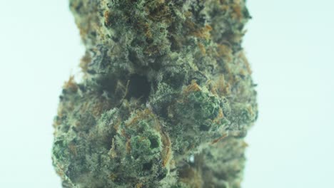 Macro-Close-up-shot-of-a-Marijuana-sativa-Super-Lemon-Amnesia-Haze-flower,-yellow,-green-and-purple-Kush,-on-a-360-rotating-stand,-Slow-motion-4K-video