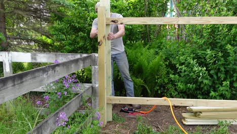 Young-adult-man-working-on-wooden-fence-in-his-backyard,-static-view