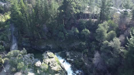 flight-over-the-banks-of-a-beautiful-river-and-trees