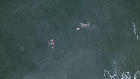 Drone-top-view-showing-people-surfing