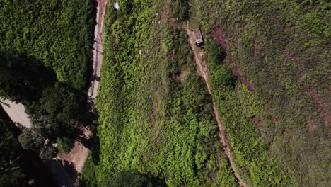 Drone-goes-up-fast,-zenital-camera-showing-dirt-roads-in-the-middle-of-a-Atlantic-rainforest