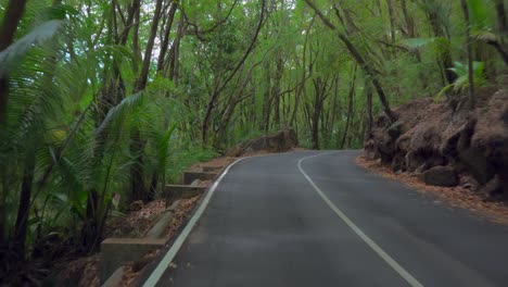 Mahe-Seychellen,-Erstaunliches-Fahren-In-Abgelegener-Lage,-Fahrt-Zwischen-Bäumen-Und-Felsen-Mit-Stufenstürzen-Auf-Der-Straße-Ohne-Schienen-Filmische-Fahrt