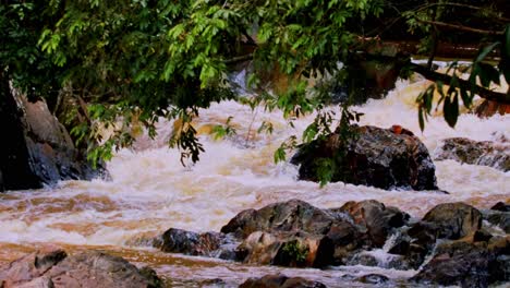 Ein-Nebenfluss-Voller-Wasser-Im-Amazonas-Regenwald---Süßwasser,-Natürliche-Ressourcen,-Erosion,-Versorgung