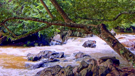 Flacher-Fluss-Im-Brasilianischen-Regenwald,-Der-Durch-Die-Durch-Die-Globale-Erwärmung-Verursachte-Dürre-Verursacht-Wurde