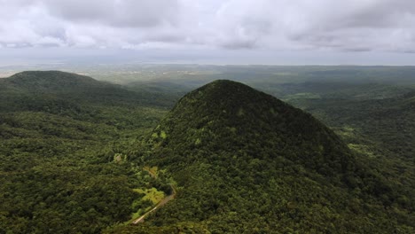 Drohnen-Videosequenz-über-Den-Wald-Von-Guadeloupe-Mit-Einer-Straße