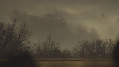A-dark-and-eerie-atmosphere-of-fog-hovering-over-the-trees-in-the-valley