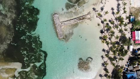 Drone-sequence-of-white-sand-beach-with-beautiful-water-colour-in-Guadeloupe