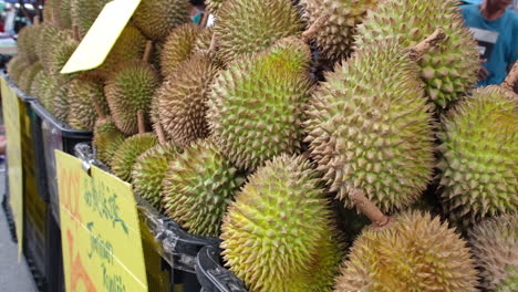 Extreme-closeup-of-Durian,-Malaysian-fruit