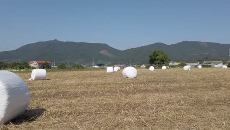 Low-pan-of-round-plastic-wrapped-hay-bales-in-Suncheon,-South-Korea-field