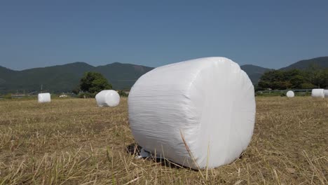 Low,-angled-push-in-towards-round-hay-bale-in-Suncheon,-South-Korea-field