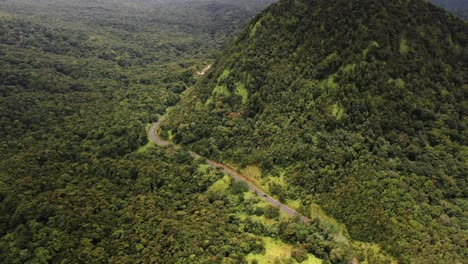 Drone-video-sequence-on-the-forest-of-Guadeloupe,-with-a-road
