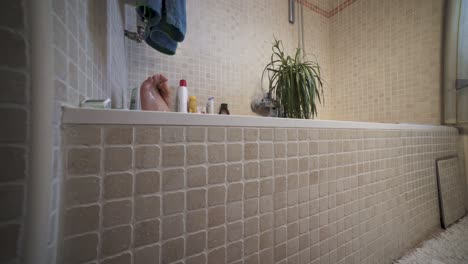 Frau-Mit-Pflanze-In-Der-Badewanne-Im-Badezimmer-Zu-Hause