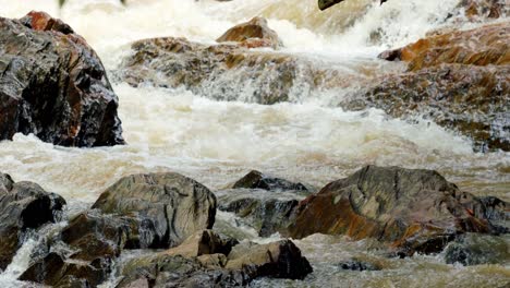 Wasser-In-Einem-Nebenfluss-In-Brasilien,-Der-Zum-Fluss-Fließt---Flach-Aufgrund-Von-Dürre