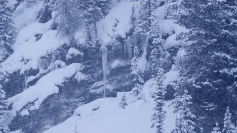 Banff-Nationalpark-Winter-Schneefall