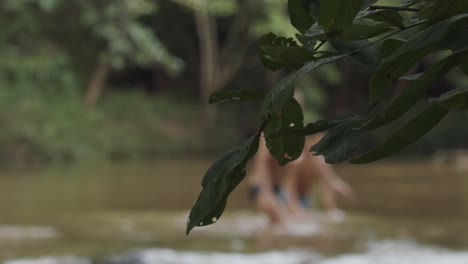 Menschen,-Die-In-Einem-Seichten-Fluss-In-Brasilien-Waten---Im-Hintergrund-Unscharf-Gestellt