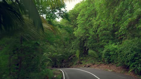 Mahe-Seychelles,-An-amazing-driving-in-isolate-location,-drive-between-trees-and-rocks-with-step-falls-on-the-road-with-no-rails