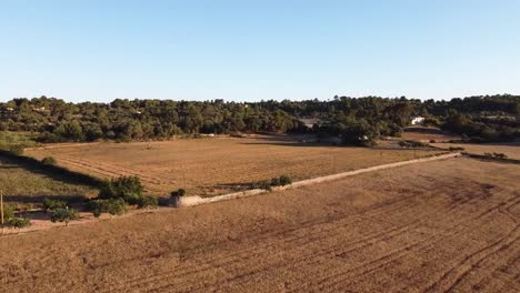 Bebaute-Felder-In-Ländlichen-Gebieten-Der-Insel-Mallorca,-Spanien