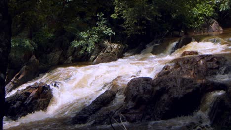 El-Agua-Del-Río-En-Brasil-Está-En-Niveles-Bajos-Debido-A-Las-Condiciones-Ambientales-De-Sequía
