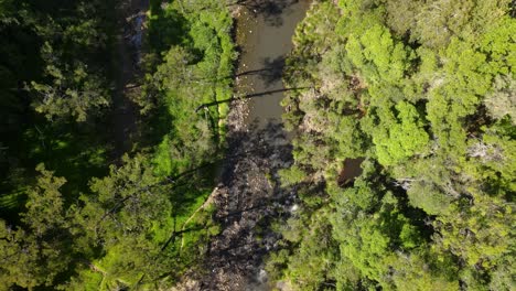 Hoher-Drohnenblick-Auf-Einen-Malerischen-Buschbach,-Der-Sich-Seinen-Weg-Durch-Einen-Australischen-Outback-Regenwald-Schlängelt